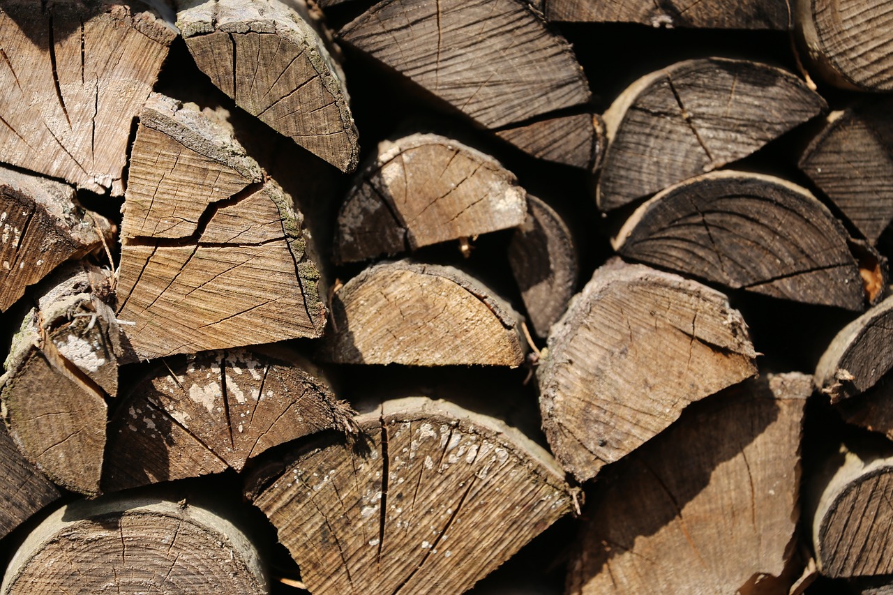Lessons from the Past - How Ancient Cultures Utilized Green Energy